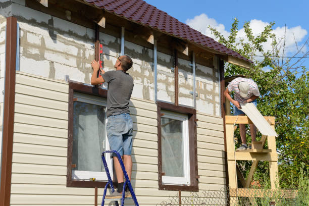 Best Insulated Siding Installation  in Napervle, IL